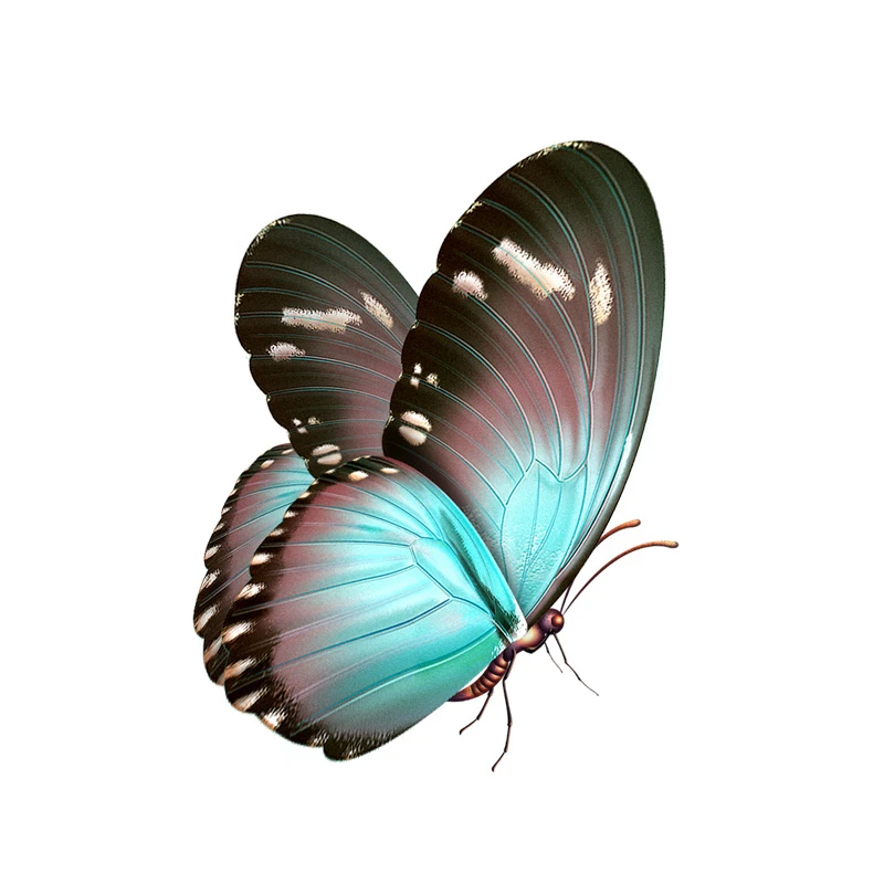 

Boutique Beautiful Hand Drawn Butterfly Decal Motorcycle Car Sticker KK14*11cm