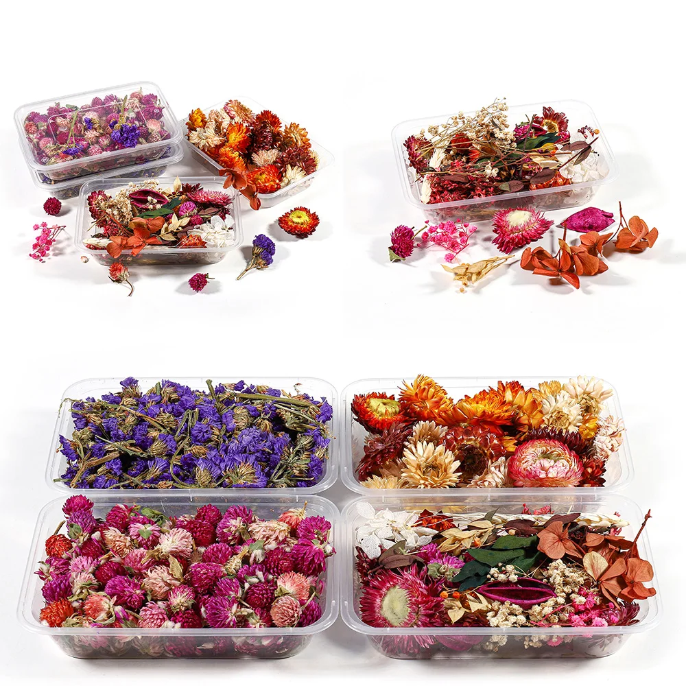 1 коробка настоящие сухие цветы полимерная форма наполнитель УФ Expoxy цветок для