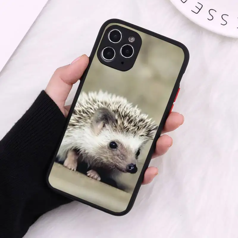 

animal lovely Cute Hedgehog Phone Case Matte Transparent for iPhone 7 8 11 12 s mini pro X XS XR MAX Plus cover funda