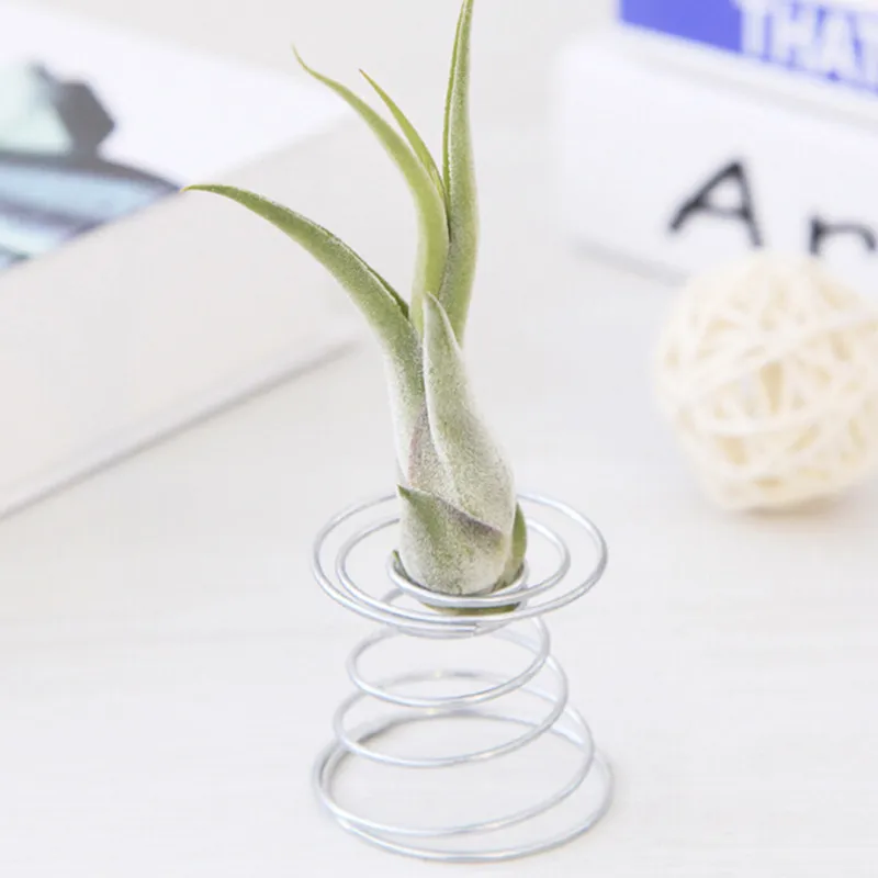 2019 Горячая продажа металла Весна подвесной держатель для растений подвесные