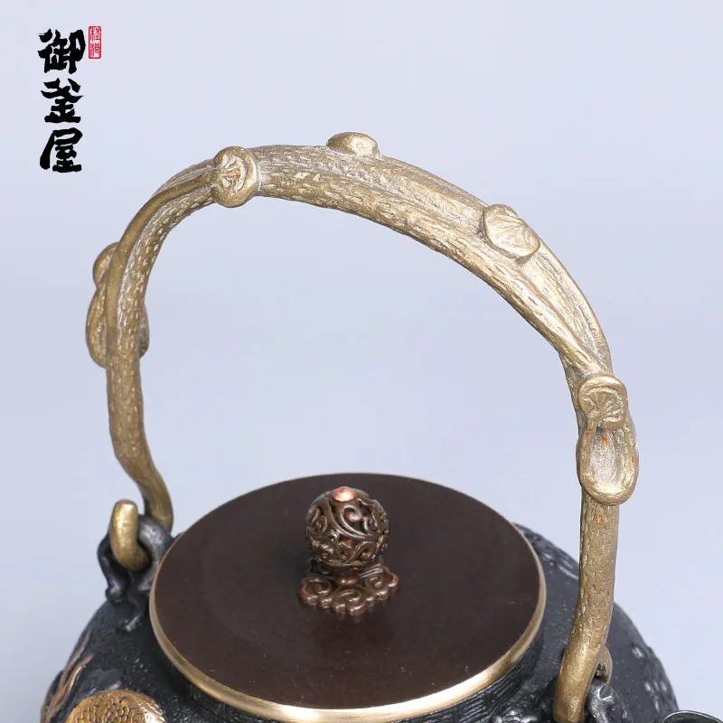 Новинка позолоченный чайник ручной чугунный домашний ежедневный Железный для