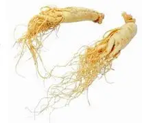 Натуральные гранулы увеличение уровня спермы количества и активности повышение