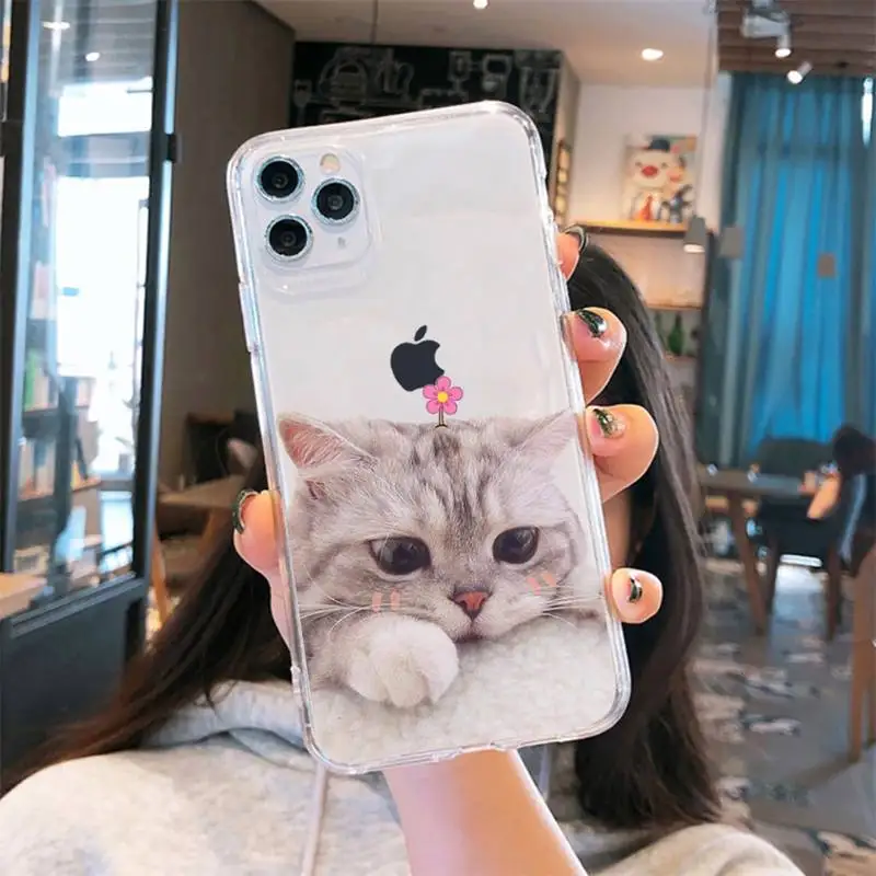 

cat Cute black animal high quality Phone Case Transparent for iPhone 6 7 8 11 12 s mini pro X XS XR MAX Plus