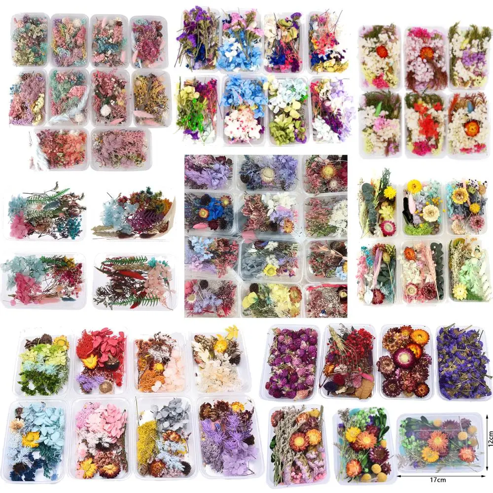 

1 коробка случайное сочетание цветов прессованный высушенный Сухой листья растений для нейл-арта, декорации ювелирных изделий DIY аксессуар...