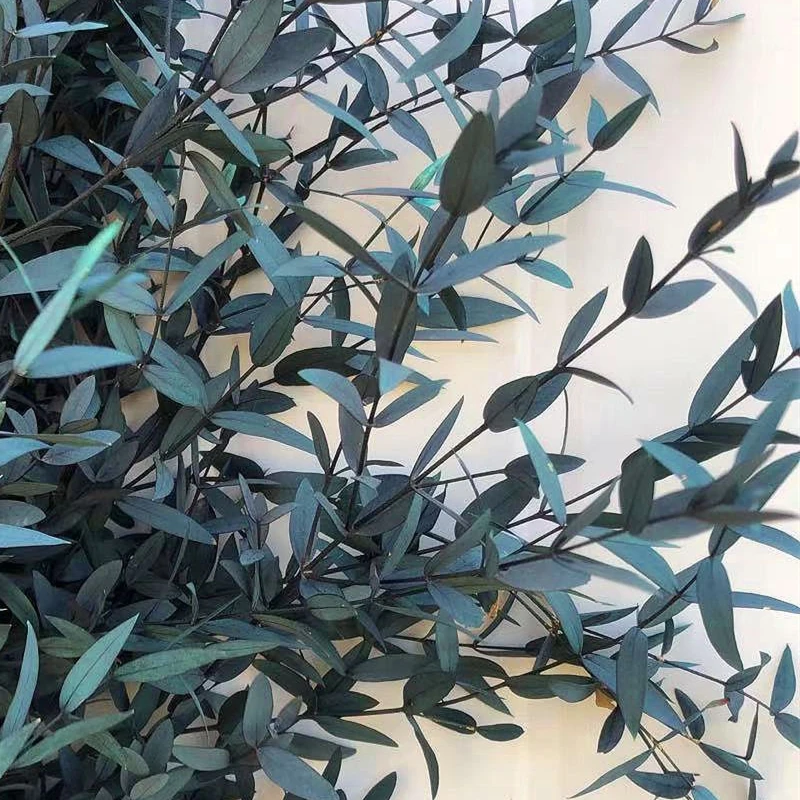 

Real Dried Natural Fresh Forever Preserved Fine Leaf Eucalyptus Branch Decorative Eternal Garland Home Decor Wedding Decoration