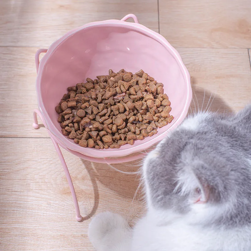 Керамическая собачья миска для кошек с подставкой наклонным наклоном Защита