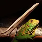 Длинные Детские зажимы для рептилий, инструменты для кормления, дерево, бамбук, лягушка, паук, змеи, инструмент для насекомых, наполнитель, Террариум, очистка, кормление
