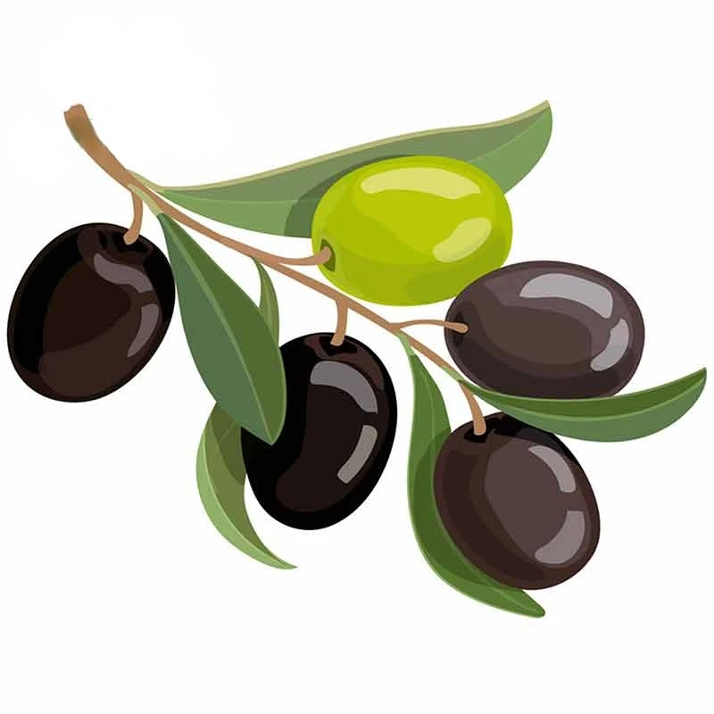 

Fine Decal Olives Bunch Logo Vinyl Car Sticker 3D Waterproof Sunscreen Scratch-Proof Custom Printing Fashion Sticker Kk13*10cm