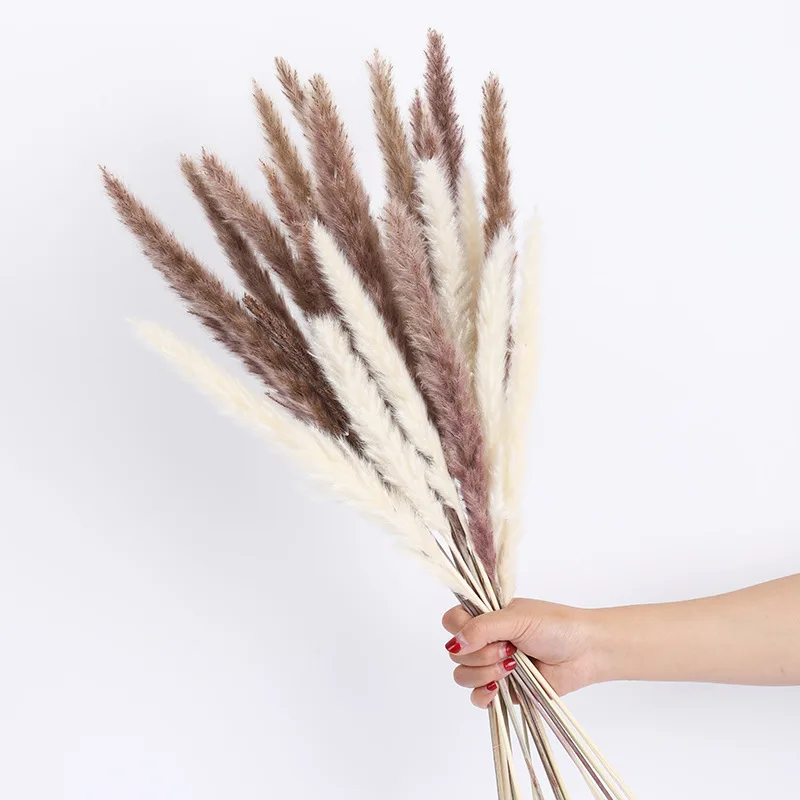 

Dried Pampas Grass Bouquet Wedding Flowers Arrangement Natural Flowers Christmas Decor Dry Flowers Fall Grass Home Decoration
