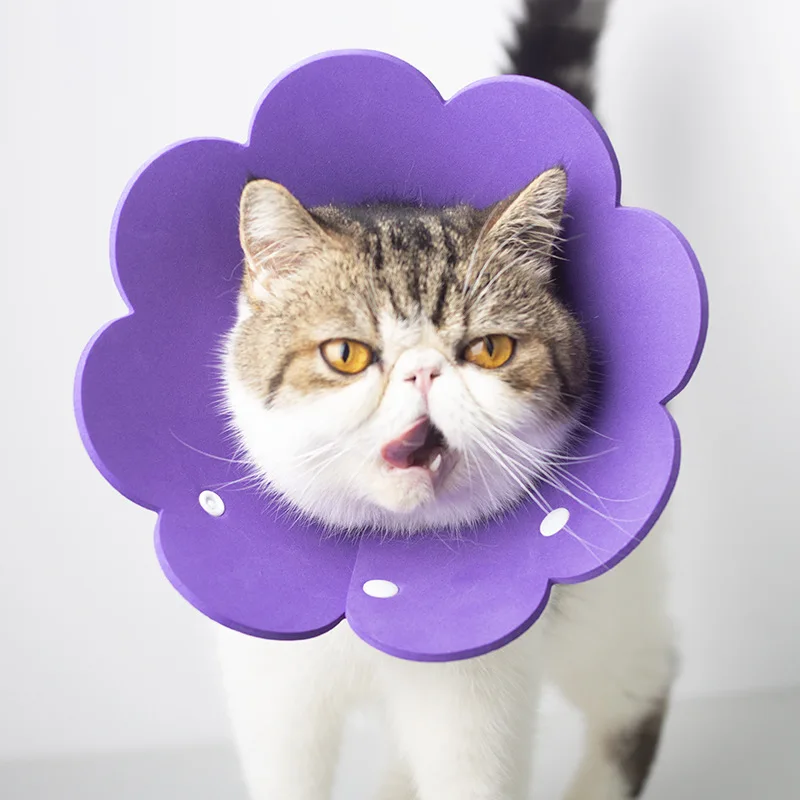 1 шт. Подсолнух Елизабет круг эва губка Легкий головной убор кошка воротник