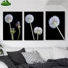 Плакаты и принты в скандинавском стиле с изображением одуванчиков, черно-белых стен для гостиной, абстрактные картины