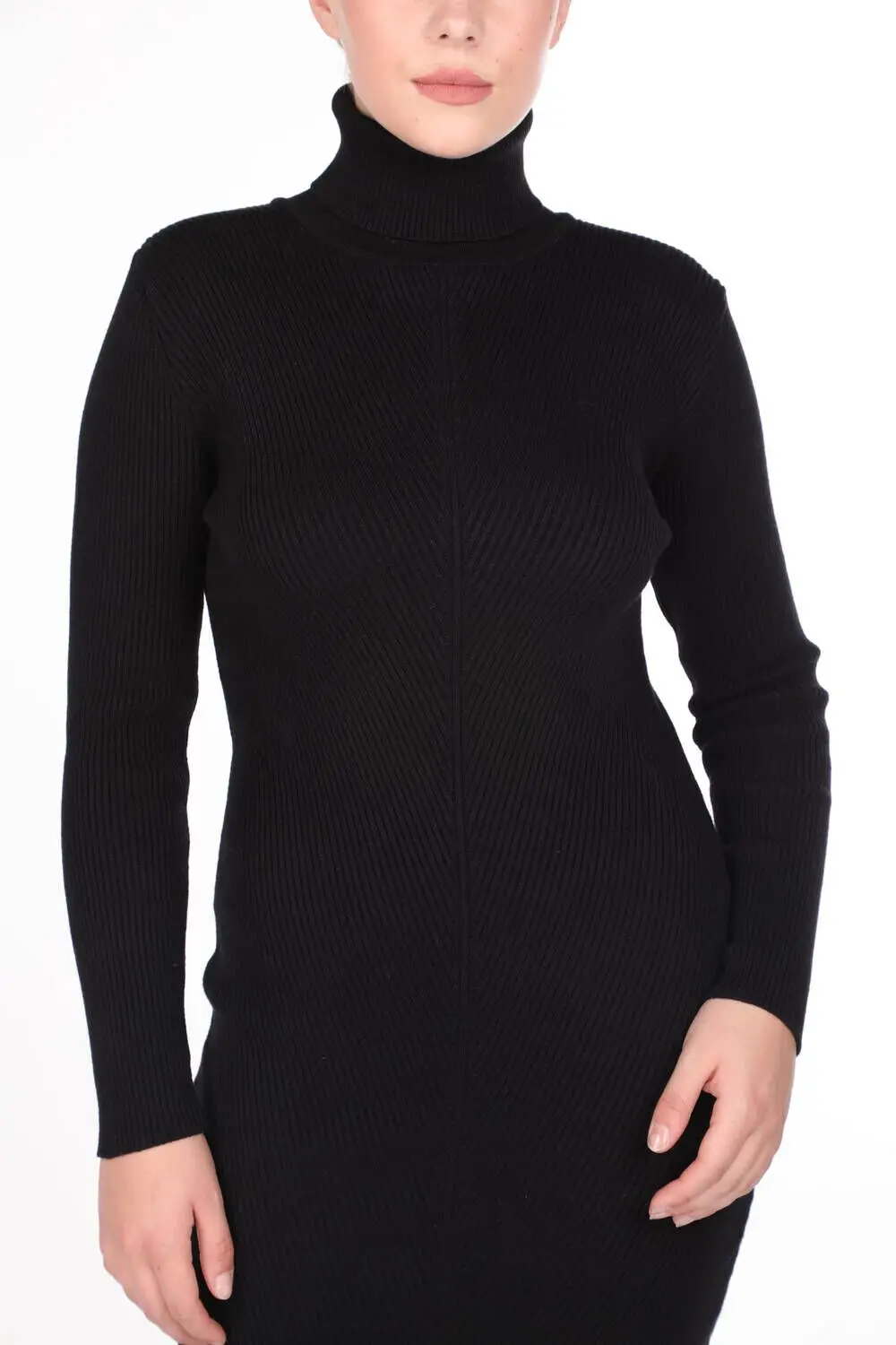 

Thick Turtleneck Black Womens Knitwear Dress