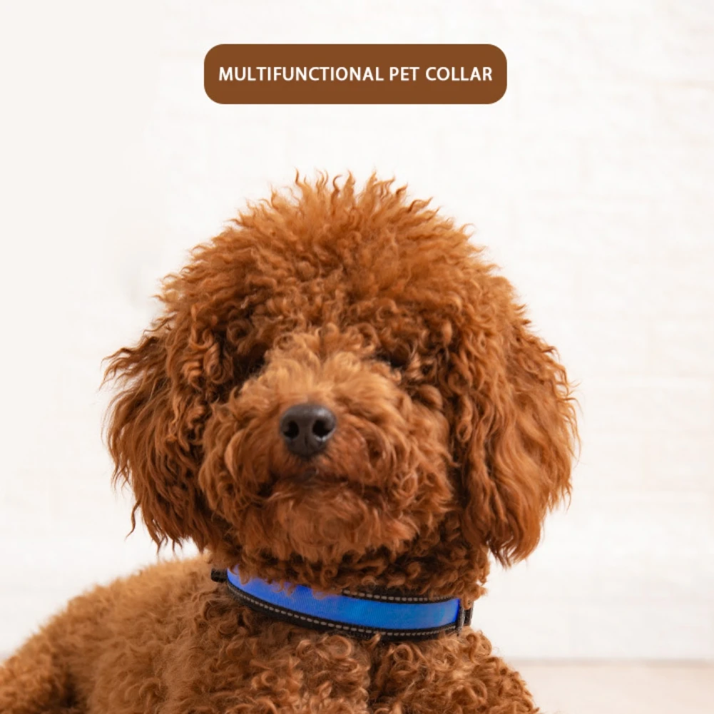 

Pet Dog Collar Solar Luminous Collar Reflective Dog Collar Collars Pet Collar for Dogs