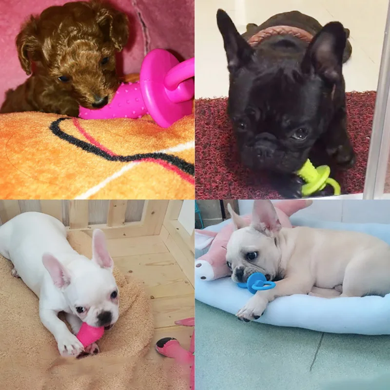 

1Set TPR Nipple Dog Toys For Pet Chew Teething Train Cleaning Poodles Puppy Small Cat Bite Best Pet Dogs Supplies Random Color