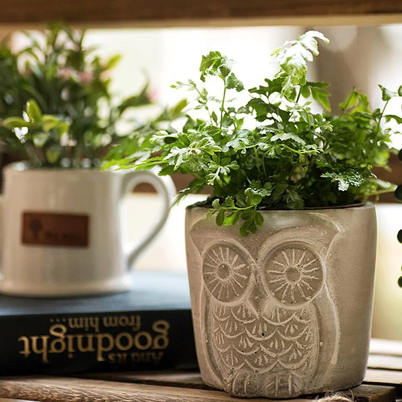 Шаблон совы прозрачная вода бетон фотоформа минималистичный стиль держатель