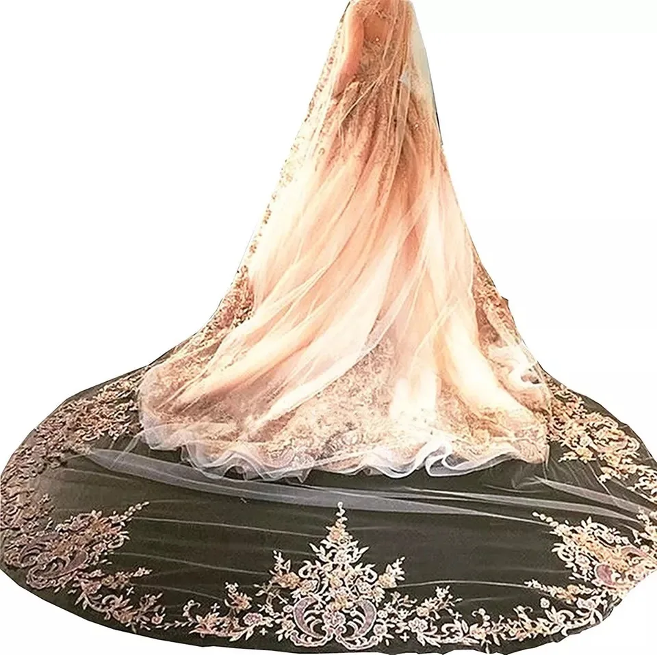 

2021 New Champagne Vintage Bridal Veil Lace 3m 5m Cathedral Wedding Veil Long Lace with Comb Wedding Accessories Voile Mariage