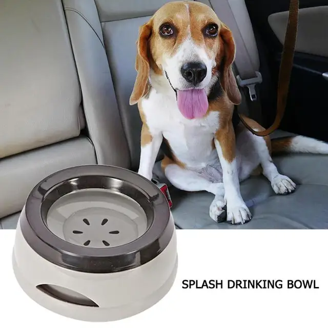 Cat Dog Splash Proof Drinking Bowl Puppy Food Drink Water Feeder Pets Supplies Lightness Portability Convenient Carrier