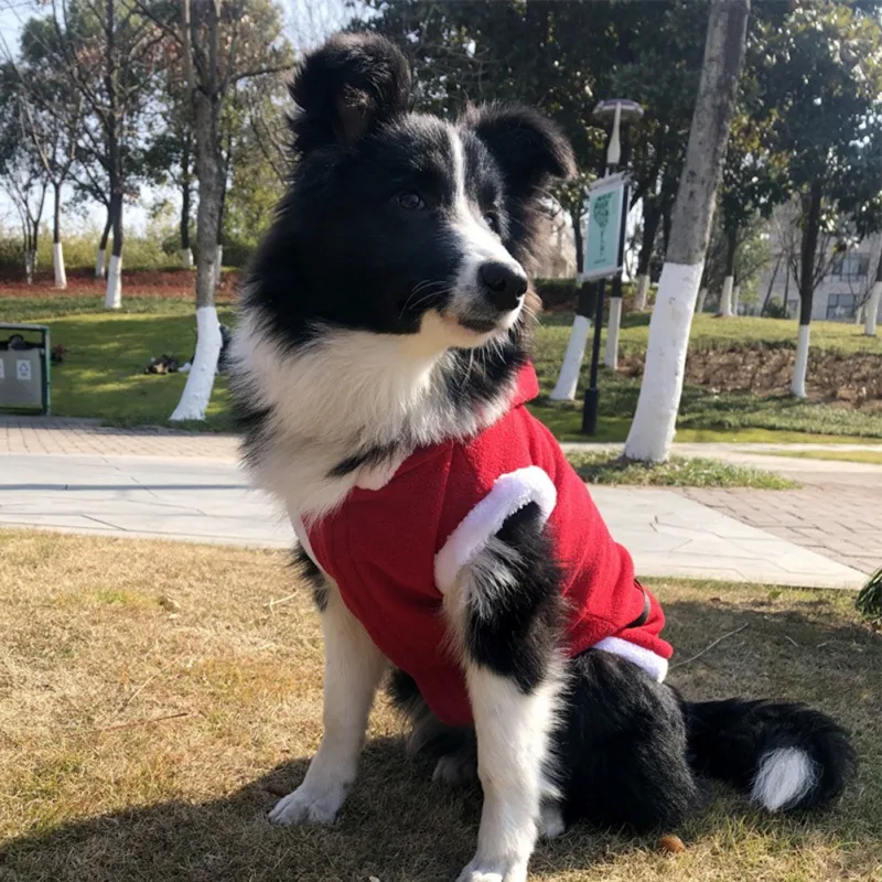 

Женская одежда для маленьких и средних собак, костюм, теплая куртка для домашних животных