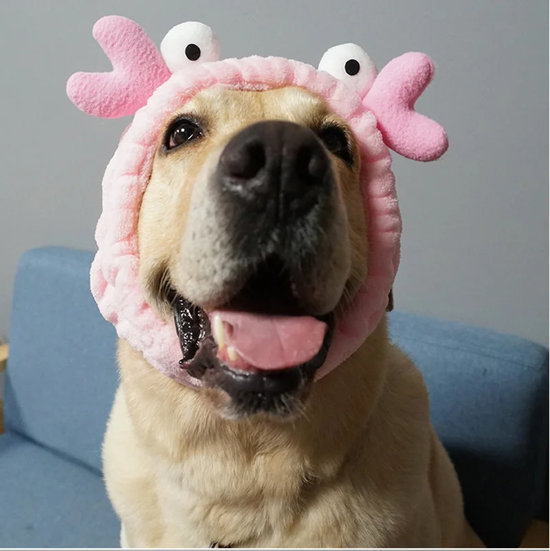 Домашние животные продают Милые головные уборы Собака Золотой мулла брадоки