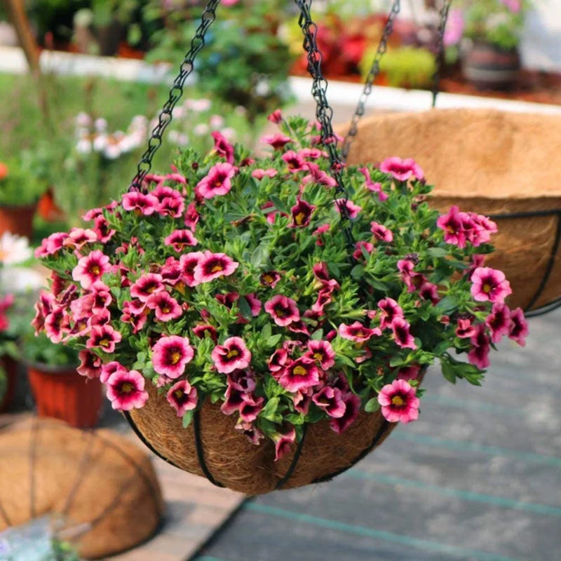 

Hanging Basket for Plants Garden Flower Planter with Chain Plant Pot Home Balcony Decoration 2 Pcs-8,10 Inch