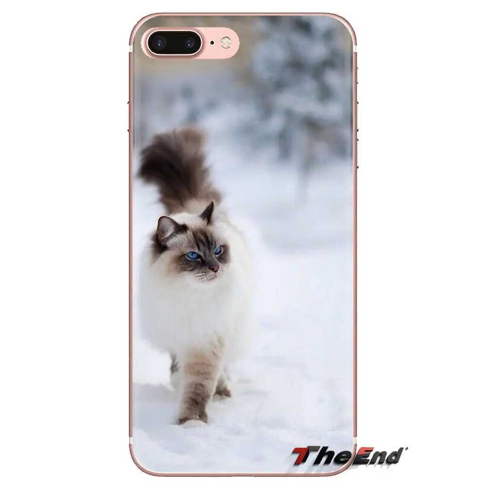 Чехол для телефона pet тряпичная кукла кошка с голубыми глазами iPhone XS Max XR X 4 4S 5 5S 5C SE