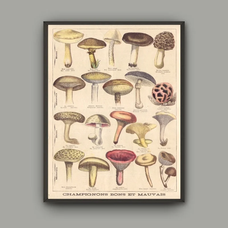 Модульная картина для домашнего декора настенная живопись ботаническая