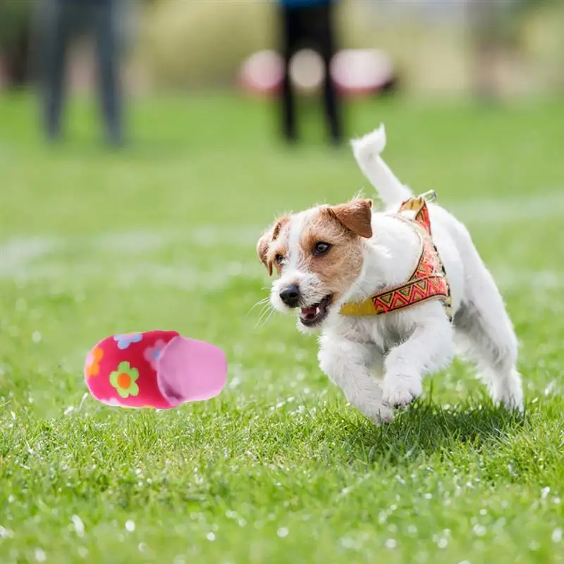 1 шт. жевательная игрушка для кошек|Игрушки кошек| |