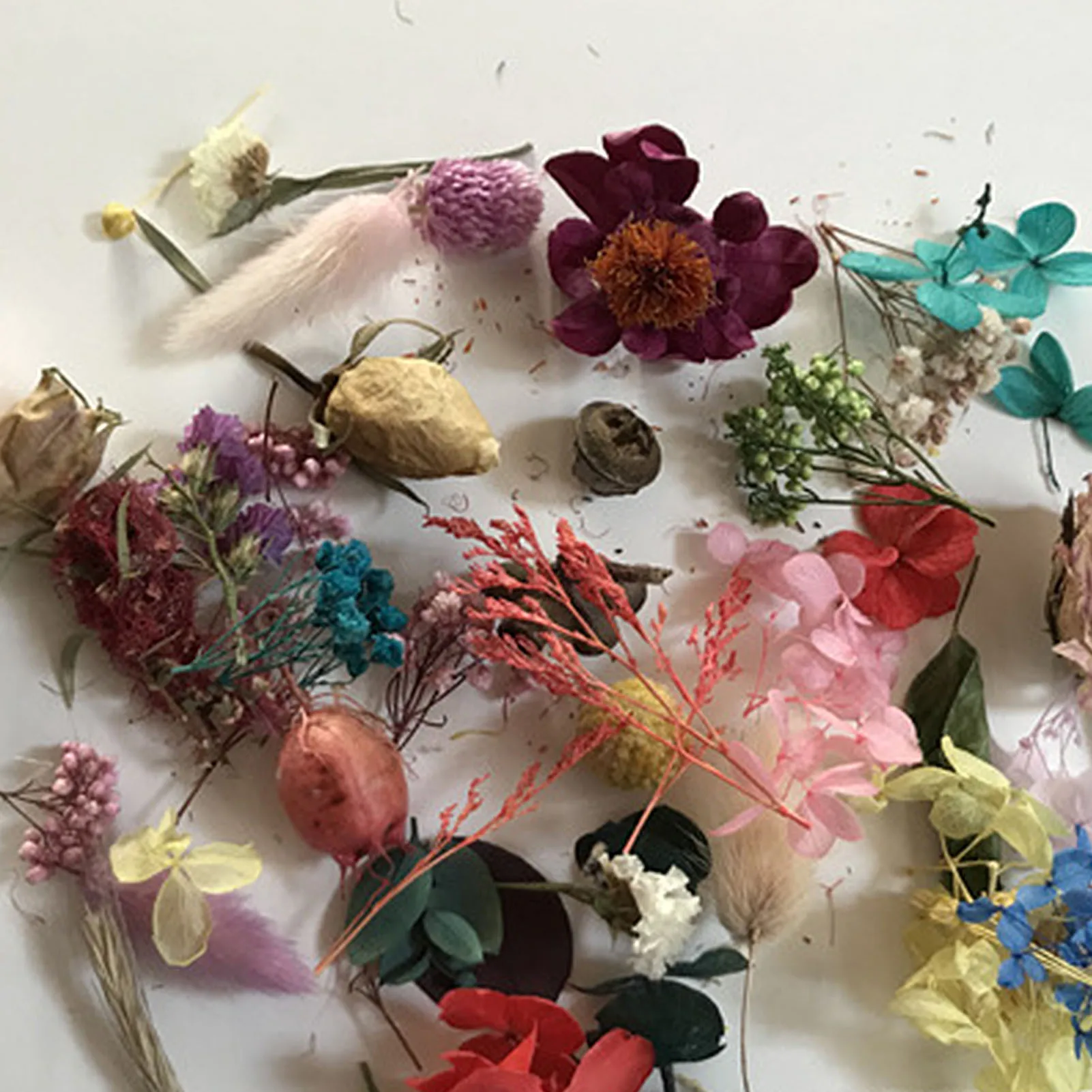 Набор для самостоятельного изготовления сушеных цветов натуральные