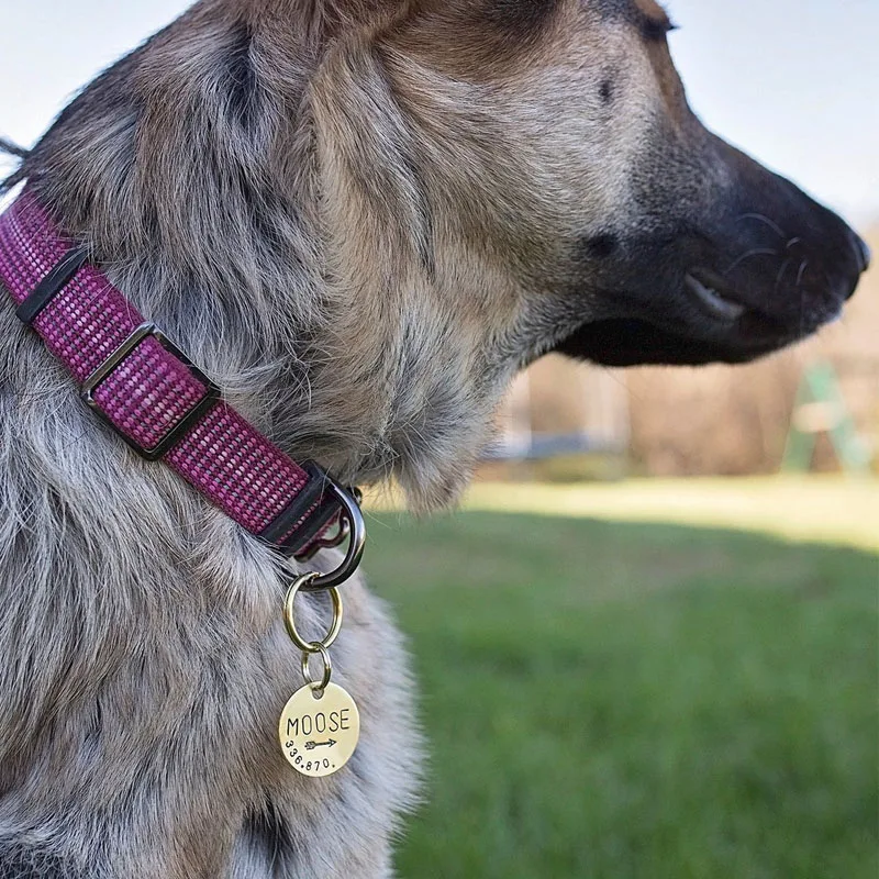 Индивидуальное ожерелье с именем питомца подвеска собаки из нержавеющей стали