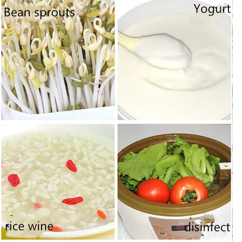 

Automatic 3-layer Fruit and Vegetable Disinfection Bean Sprout Machine Yogurt and Rice Wine Making