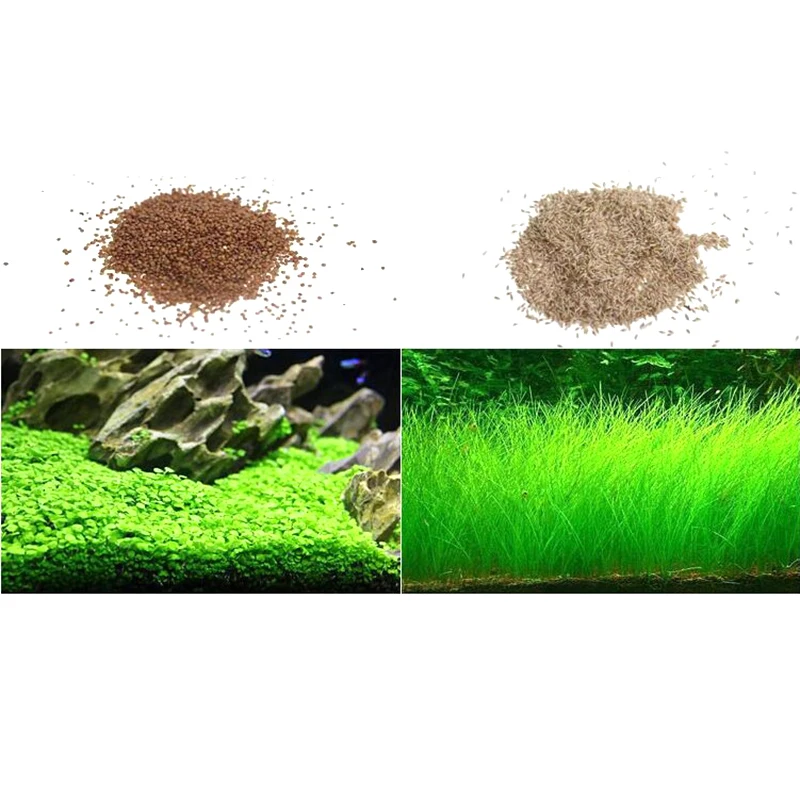 Водная трава Семена растений аквариум для рыб маленький большой лист аквариума