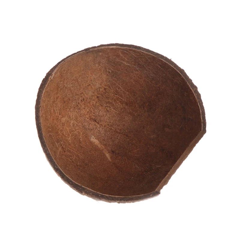 

Reptile Hide Habitat Natural Coconut Shell Lizard Spider Small Animal Cave House