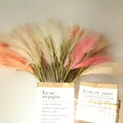 Популярные Искусственные цветы INS, 100 см, травяной пучок из фрагмита, натуральный сушеный небольшой пампас, растения искусственные, Свадебные Цветочный пучок