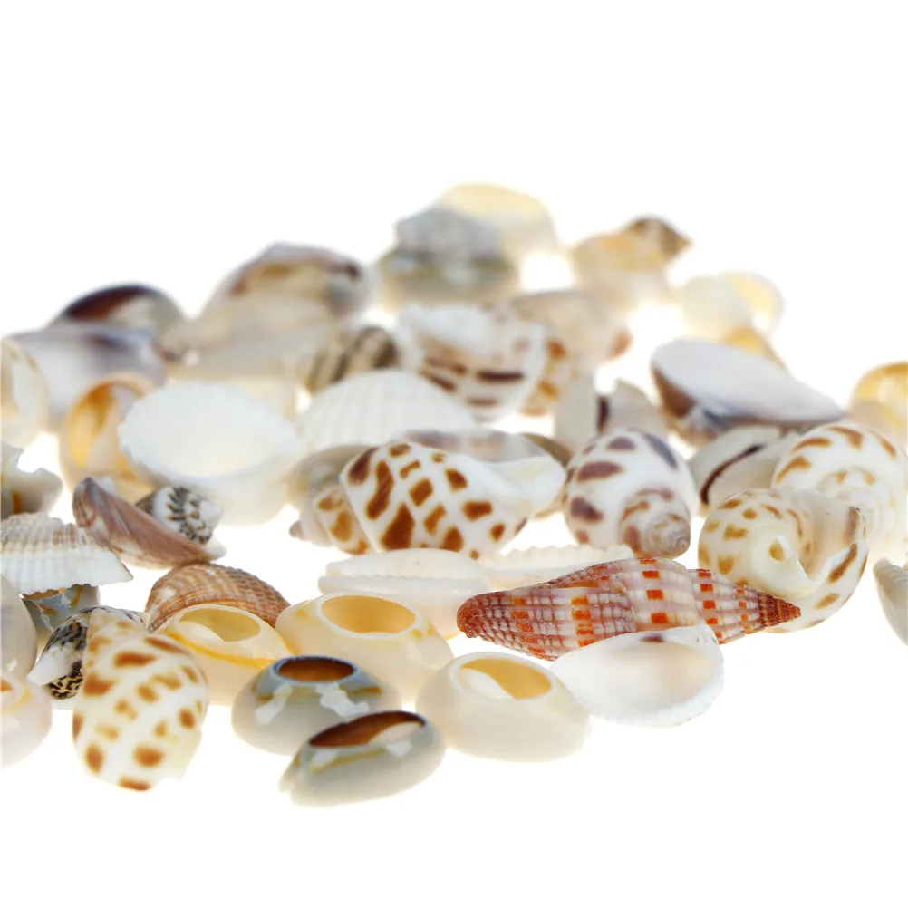 аквариумные ракушки. ракушки мелкие для декора. аквариумные ракушки. мелкие ракушки аквариум. ракушка улитка морская.