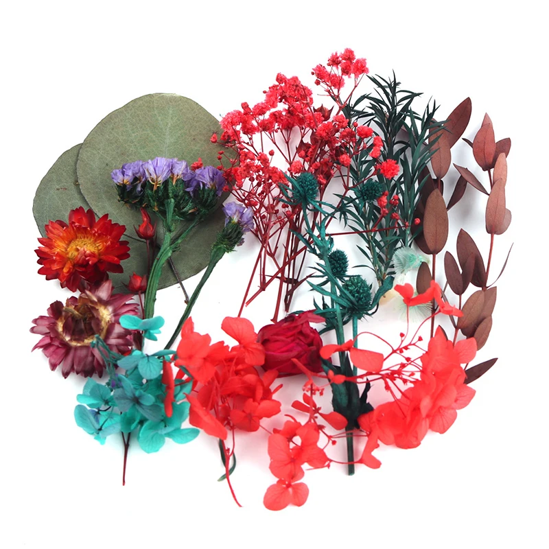 

DIY Real Dried Flower Boxed Photo Frame Making Beautiful Dry Plants Dried Flower Material Package Craft Charming DIY Accessories