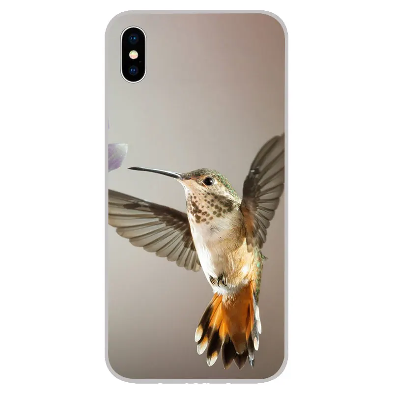 Силиконовые мягкие чехлы из ТПУ Колибри для iPhone 11 Pro XS Max X XR 8 7 6S Plus 5s SE 4S