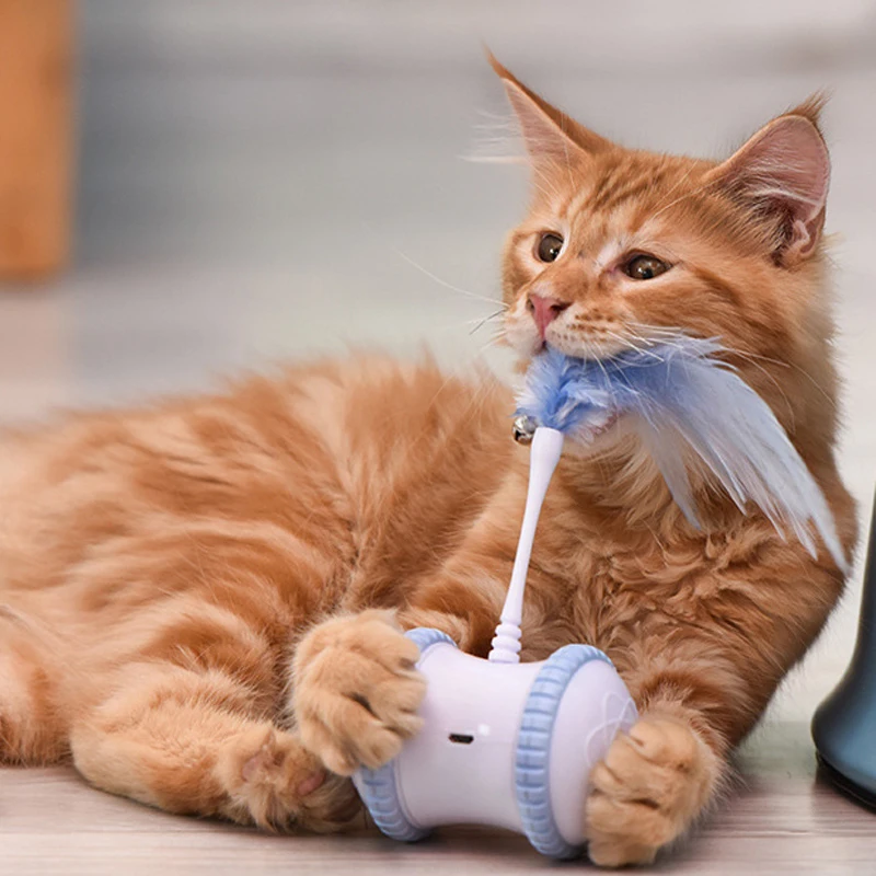 

Умная игрушка для кошек, Интерактивная, с вращающимся режимом, забавная электронная игрушка для кошек, с пером светодиодный светодиодсвети...