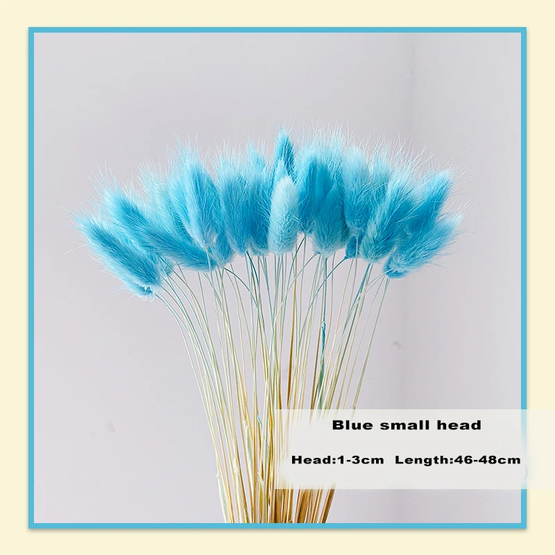 

30Pcs Rabbit Tail Grass Natural Dried Flowers Artificial Decoration Table Flower Arrangement Lagurus Ovatus Real Grass Bunch
