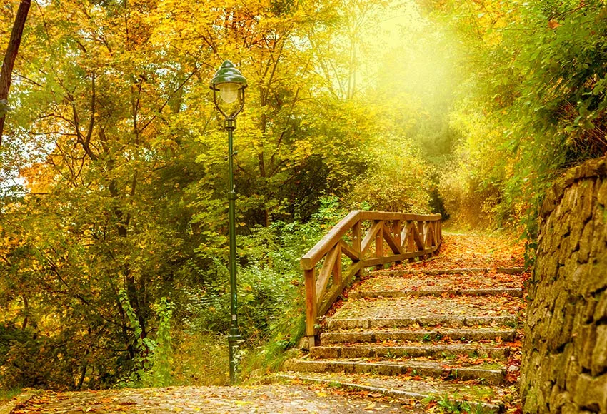 

Осенний сценический фон для фотосъемки на хэллоуин фотография цифровой фото фон для фотографа студийный комплект аксессуаров lv-2168