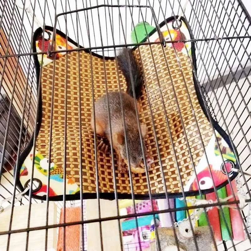 Гамак для домашних животных многоцветный гамак хомяка морской свинки белки