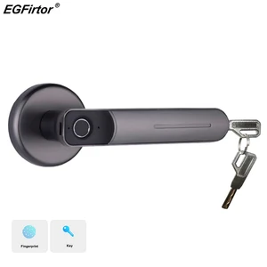 Умный Цифровой Дверной замок с Биометрическим распознаванием отпечатков пальцев, умный электронный замок для домашней и офисной безопасности с механическим ключом