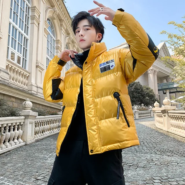 

Rlyaeiz 2019 Winter Jacket Men Casual erkek mont Stand Collar Glossy Printed Down Parka Winter Coat Men abrigo hombre Overcoat