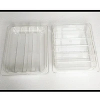 ice pop tray popsicle display tray ice lolly show shelf environmentally friendly materials pv plastic