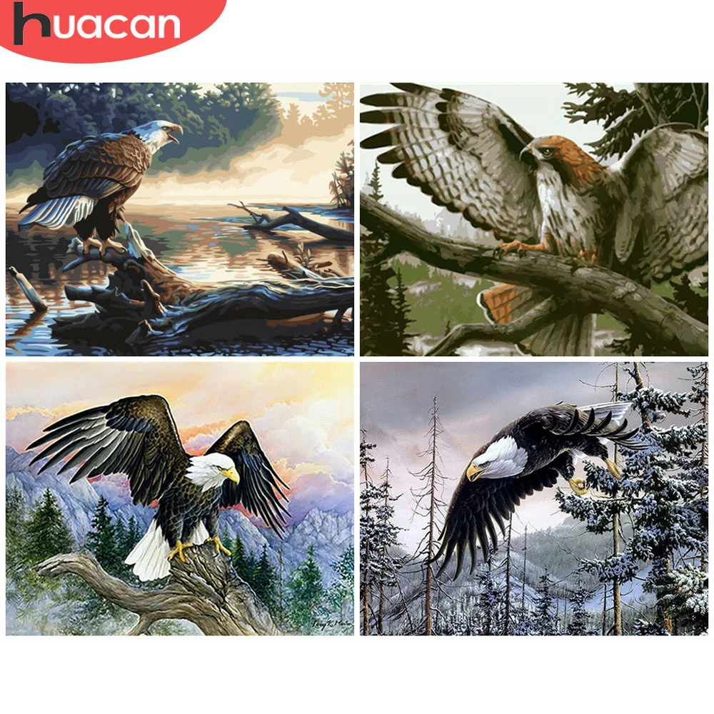 HUACAN краска по номеру животное ручная ed настенные художественные фотографии Орел