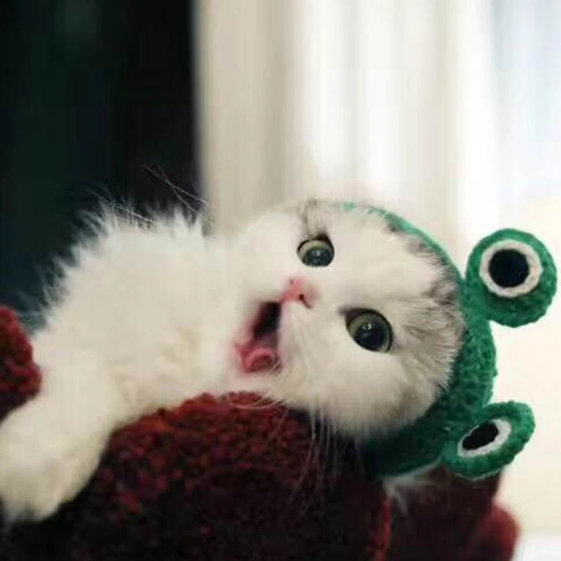 Вязаная вручную лента для волос домашних животных головные уборы питомцев