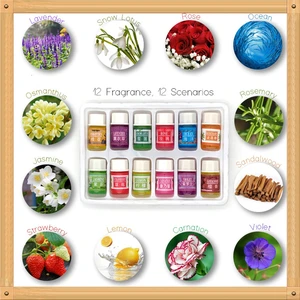 12 бутылок 3 мл эфирные масла для спа-растений с ароматическим ароматерапевтическим маслом бытовые товары для ежедневного использования ароматизатор для домашнего ухода за воздухом