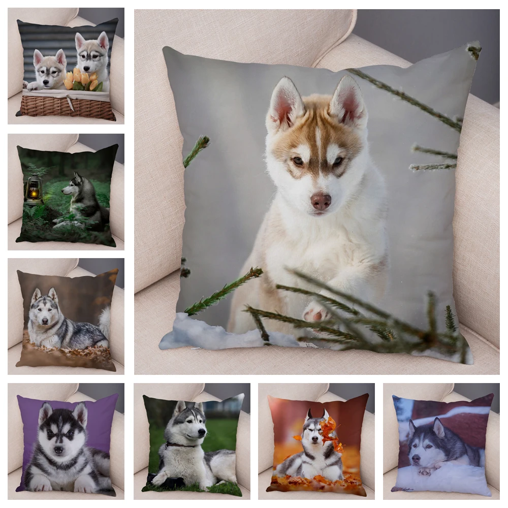 

Cute Pet Dog Printed Pillow Case Decor Siberian Husky Cushion Cover for Sofa Home Super Soft Plush Animal Covers Pillowcase
