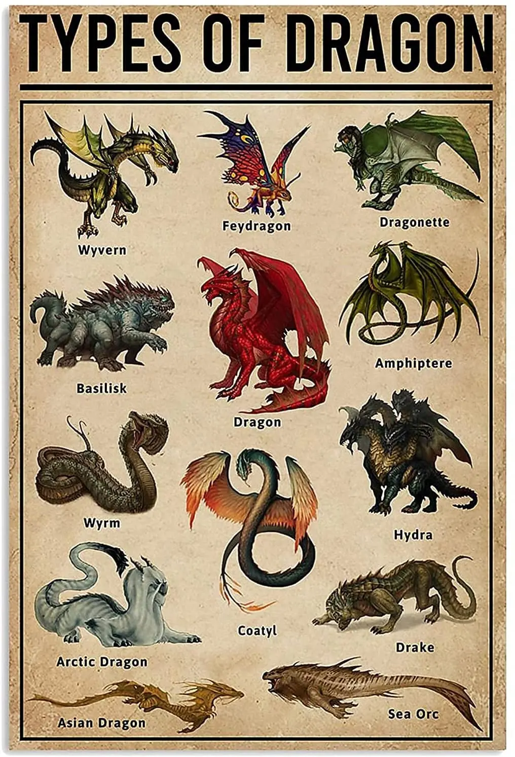 

Modern Retro Metal - Types of Dragon - Tin Sign ! for Shop/Garage/Bar/Club/Cafe/Wall Decor, 8X12 inches
