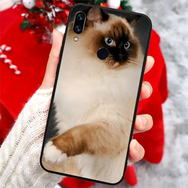 

ragdoll cat Cute animal Phone Case For Xiaomi Redmi note 7 8 9 t k30 max3 9 s 10 pro lite