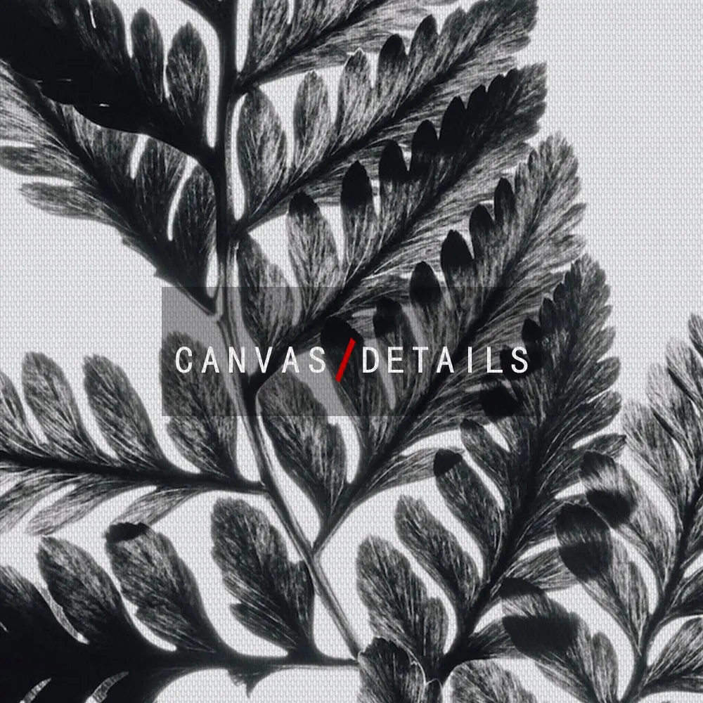 Минималистичный постер с ботаническим папоротником черный белый лист искусство